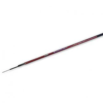 compact tele 300.jpg