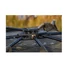 Kép 3/4 - SOLAR SOUTH WESTERLY PRO UNI SPIDER BIVVY